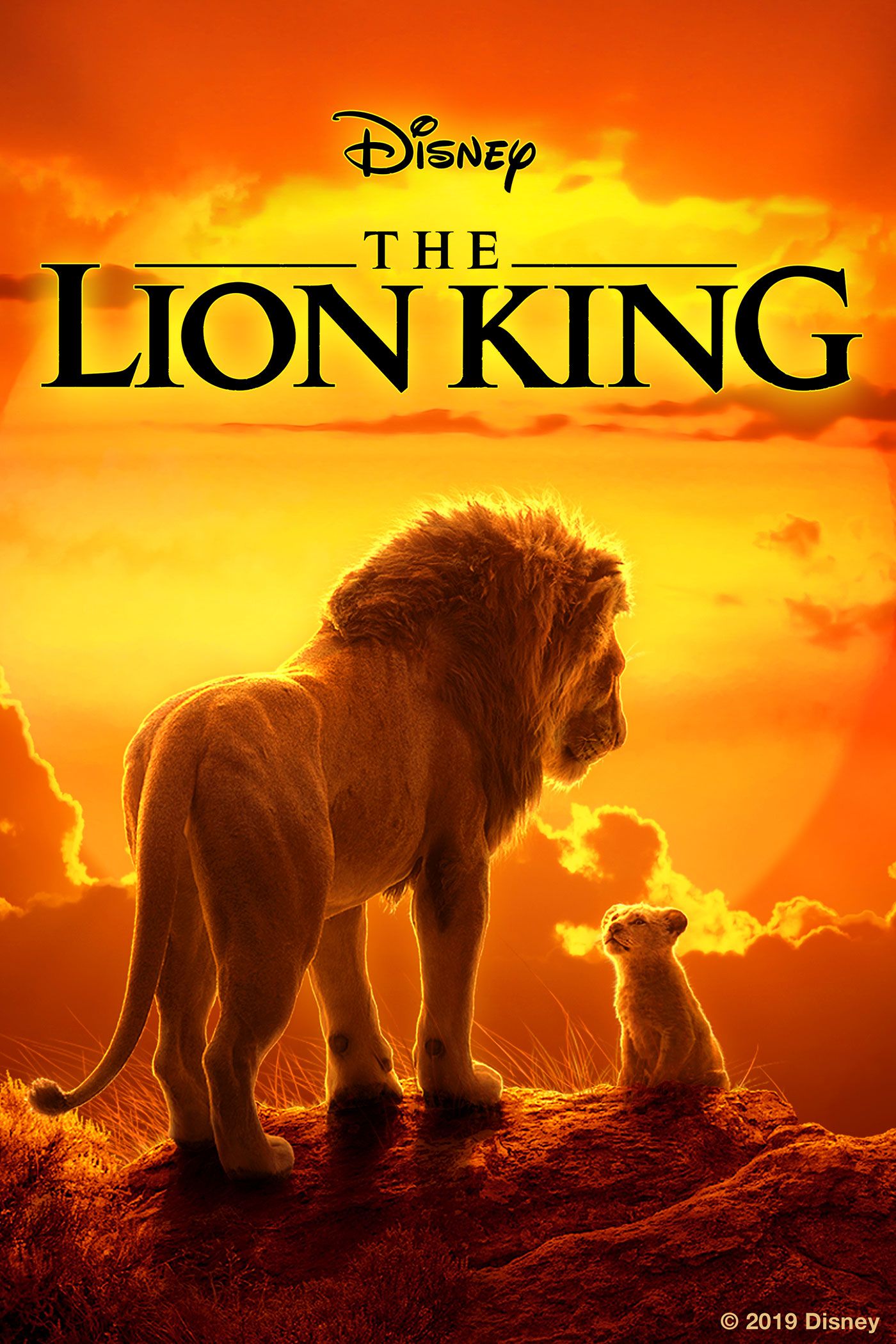 Download The Lion King (2019) BluRay Dual Audio Hindi ORG 1080p | 720p | 480p [300MB] download